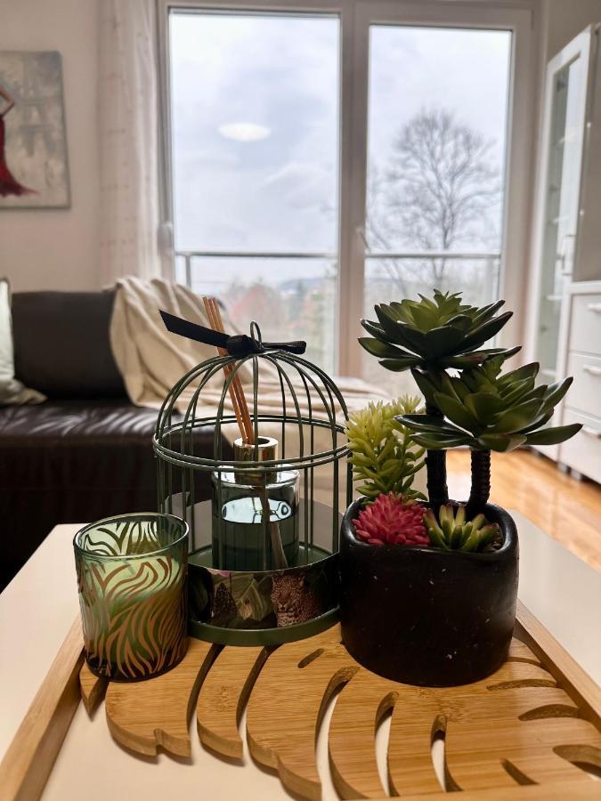 Apartman Floresta - In Front Of Japanese Garden, Enchanting Nature View, Spotless And Cozy Vrnjačka Banja Εξωτερικό φωτογραφία